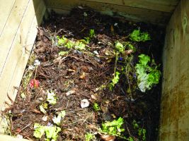 Mélange homogène de compost