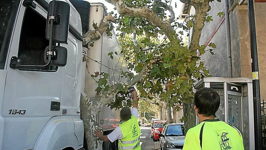 image - Sicovad - Pour recycler, il faut trier